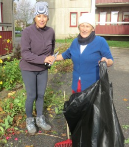 Höststädning_20141013_7