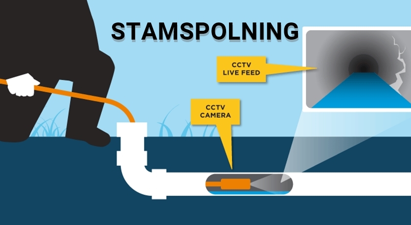 Stamspolning